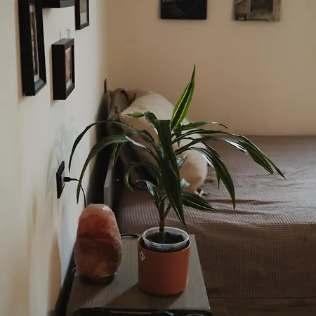 בית הארחה La Capannina2 *